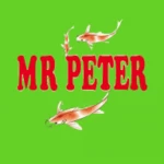 mr peter android application logo